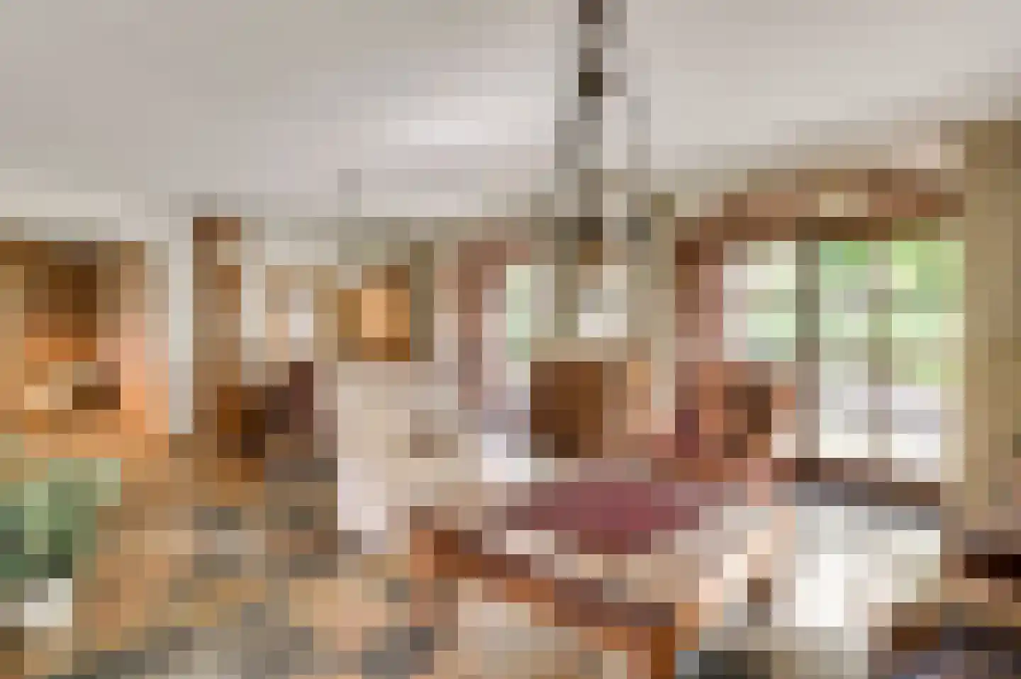 Valkenlaan 4 Maarheeze thumbnail 16