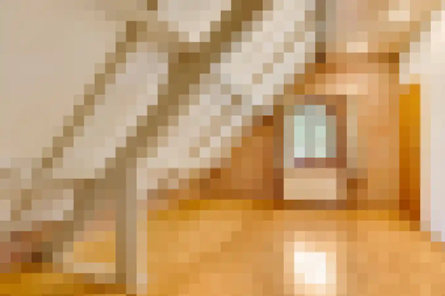 Valkenlaan 4 Maarheeze thumbnail 25