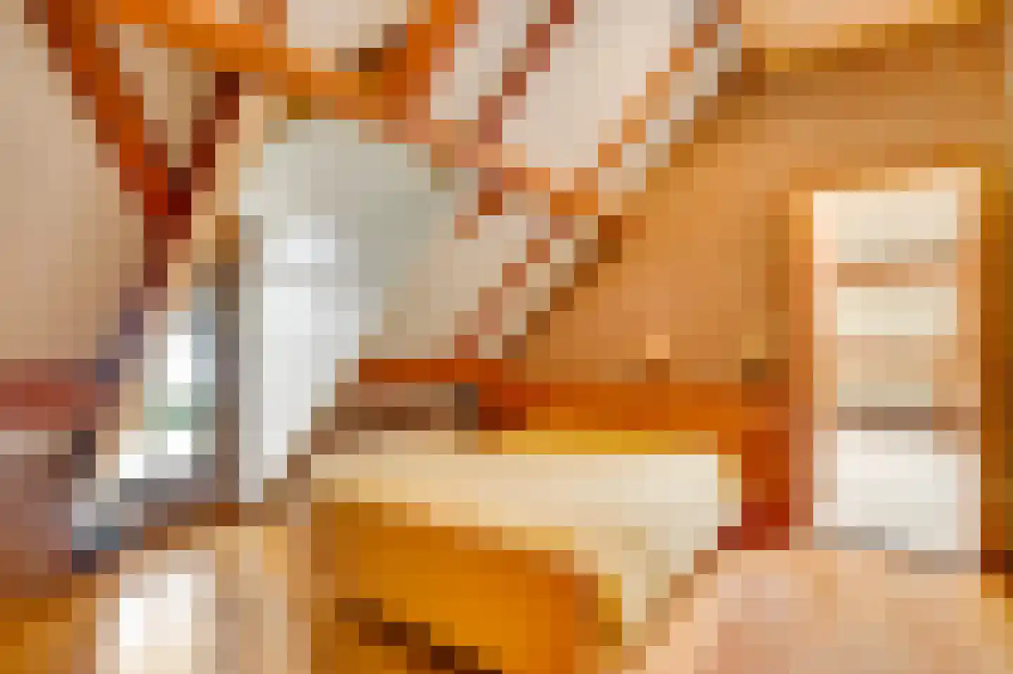 Valkenlaan 4 Maarheeze thumbnail 27