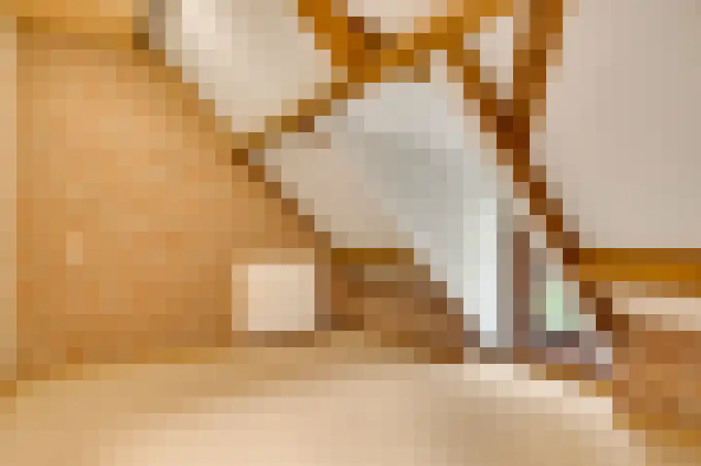 Valkenlaan 4 Maarheeze thumbnail 31