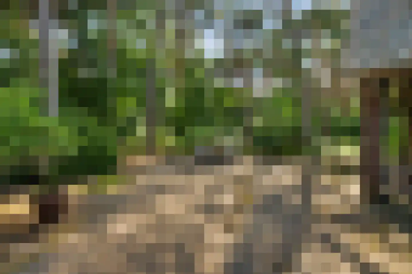 Valkenlaan 4 Maarheeze thumbnail 34