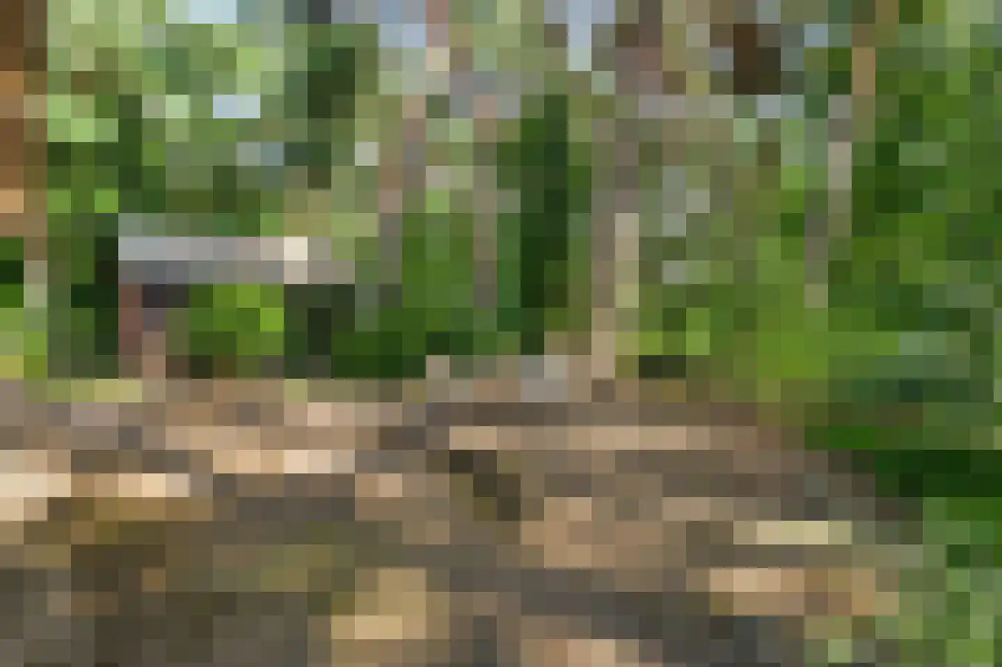 Valkenlaan 4 Maarheeze thumbnail 36