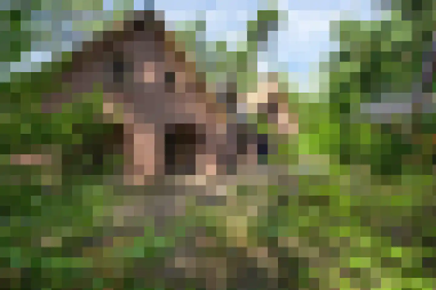 Valkenlaan 4 Maarheeze thumbnail 38