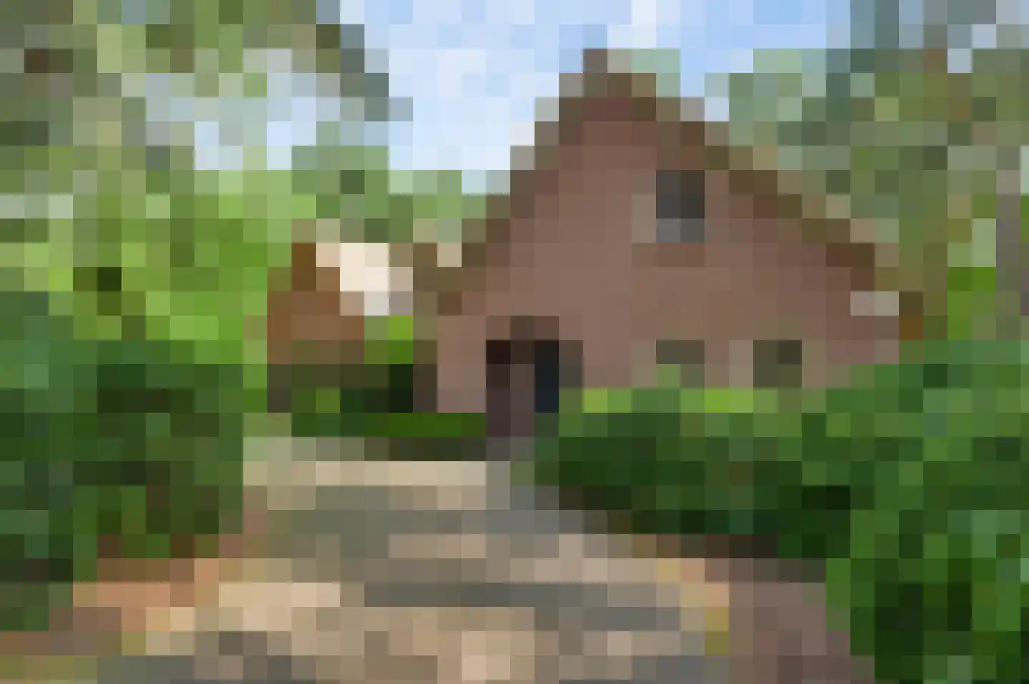 Valkenlaan 4 Maarheeze thumbnail 6