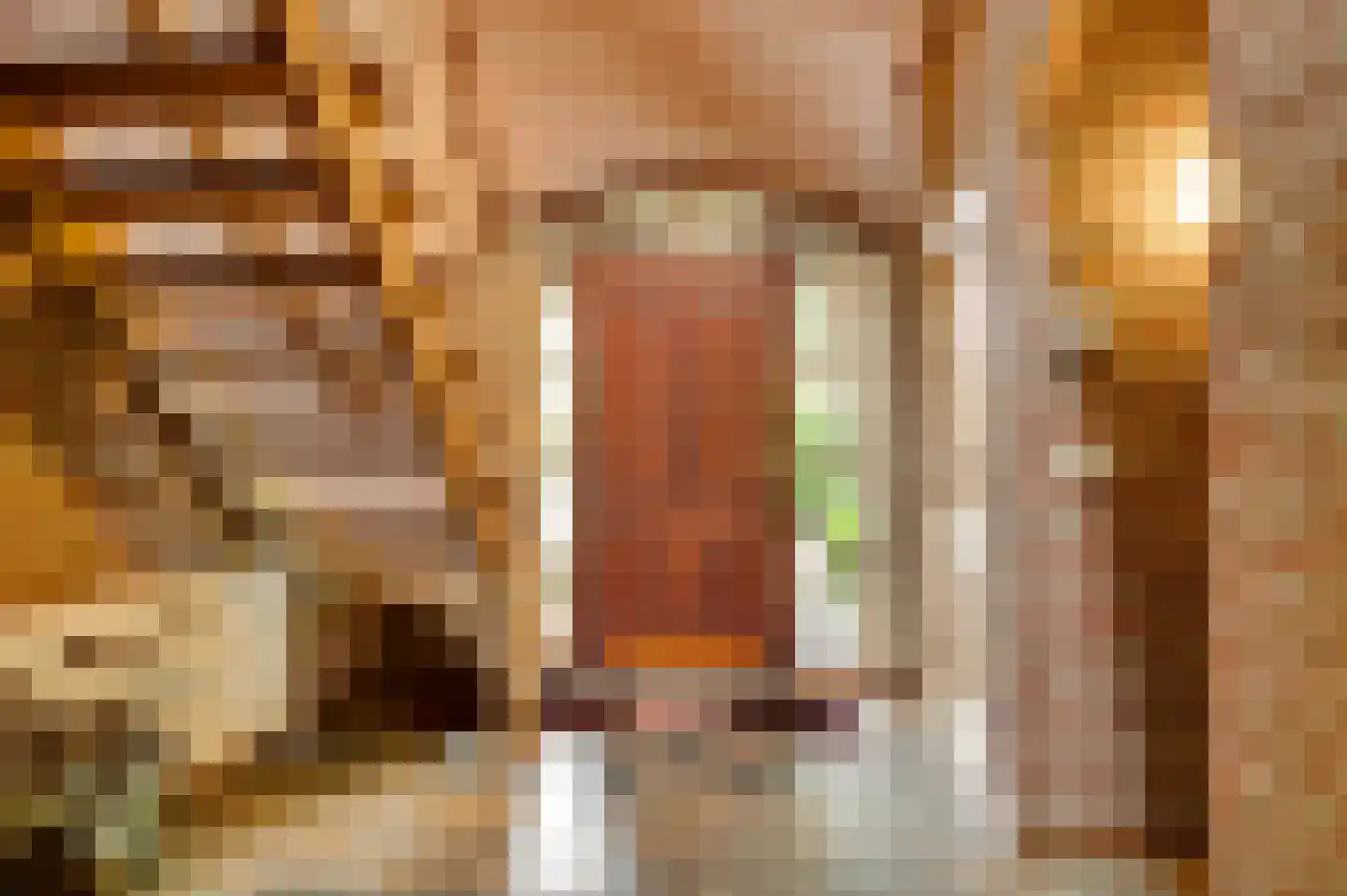 Valkenlaan 4 Maarheeze thumbnail 8