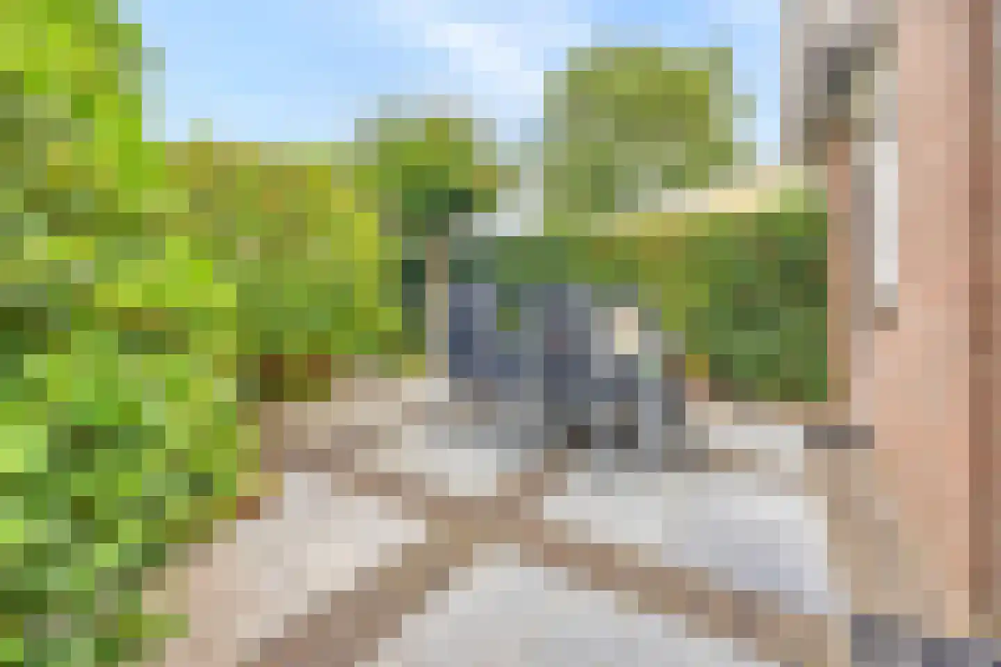 Valkenlaan 44 Delft thumbnail 17