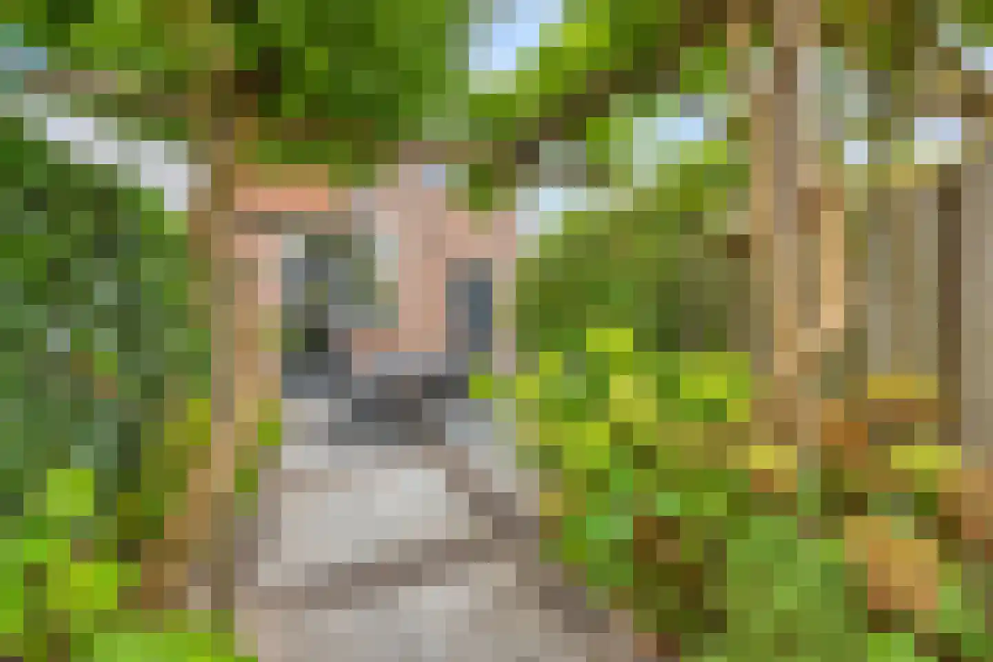Valkenlaan 44 Delft thumbnail 5