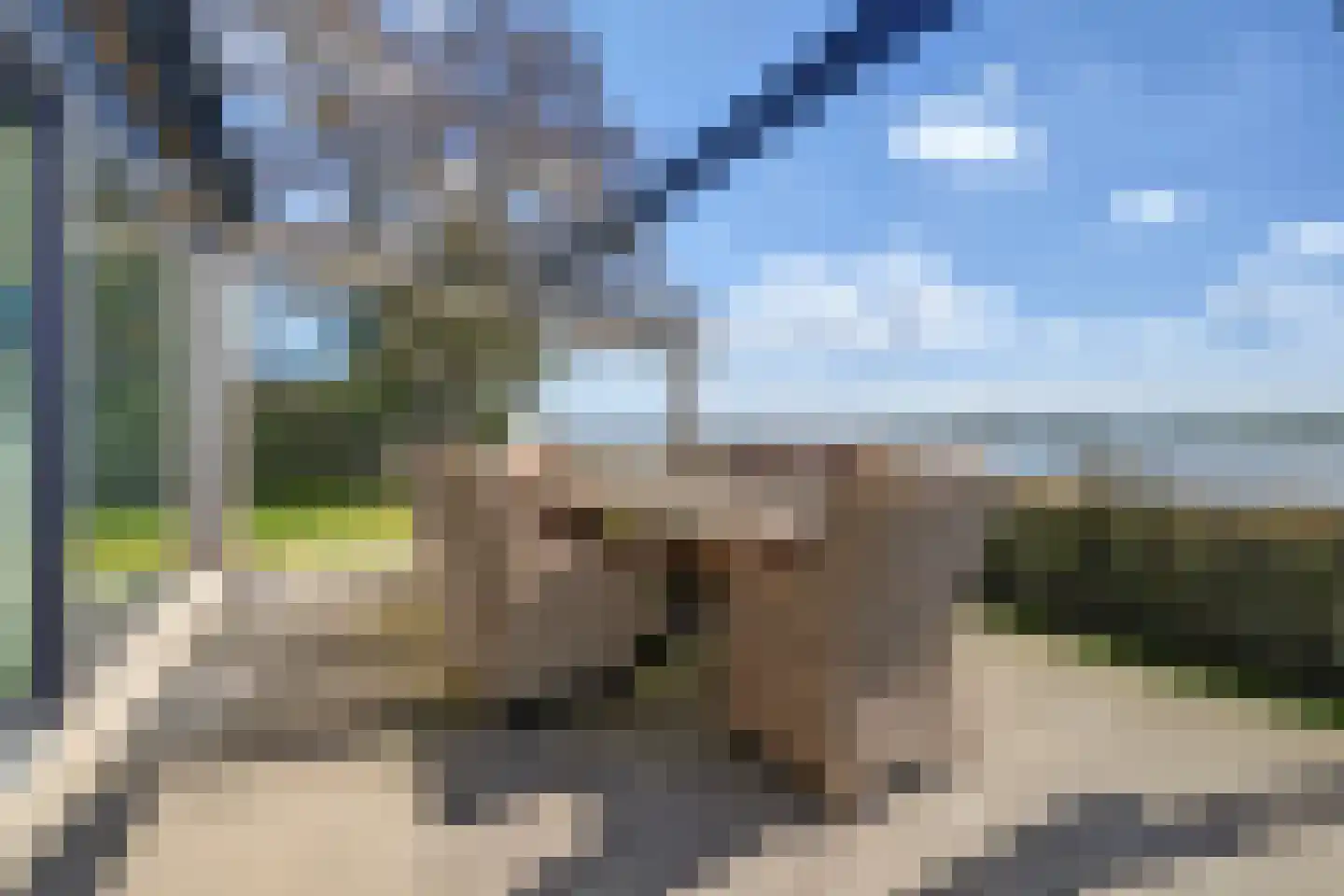 Valkenlaan 6 Kortgene thumbnail 11