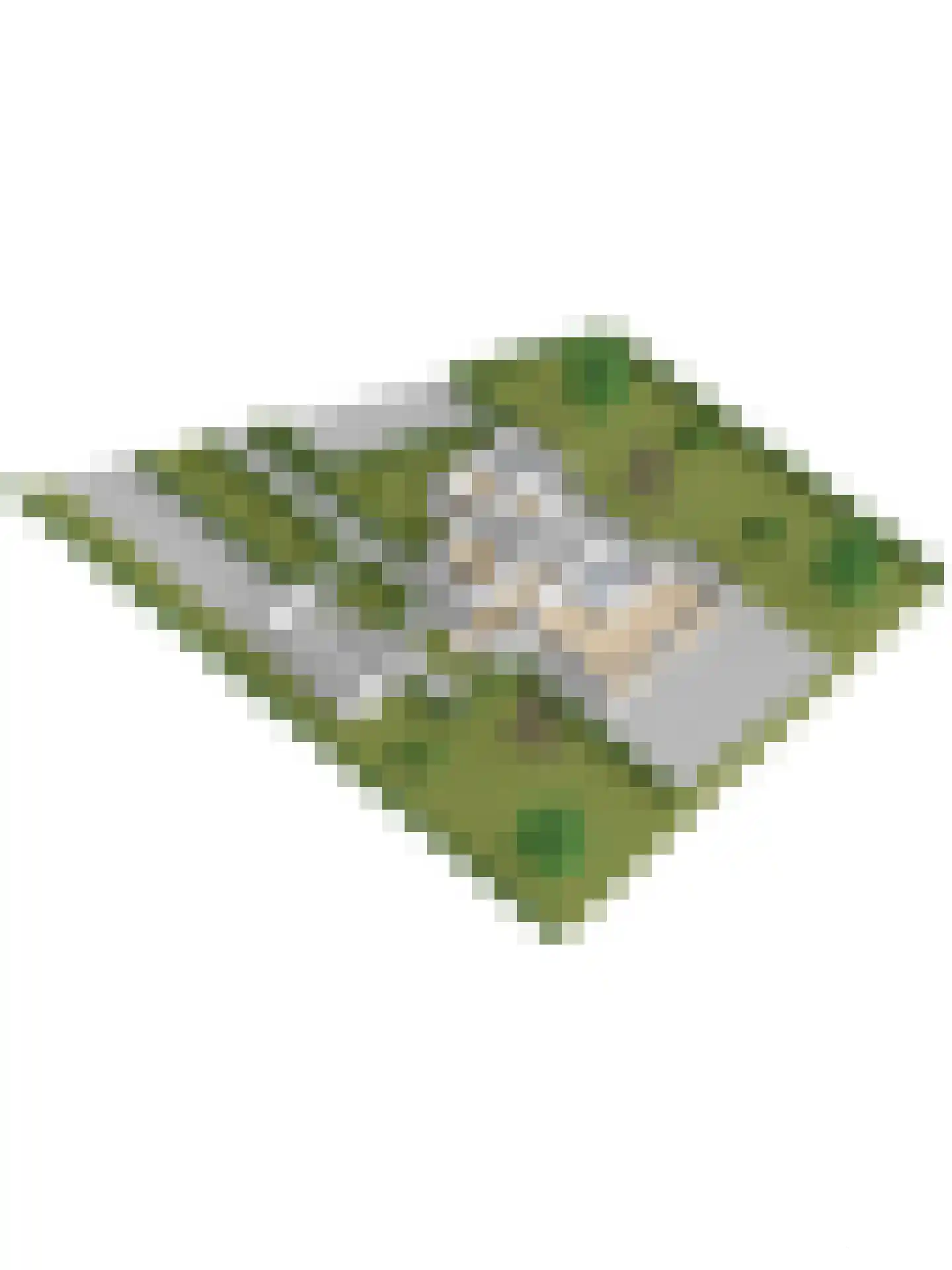 Valkenlaan 6 Kortgene thumbnail 23