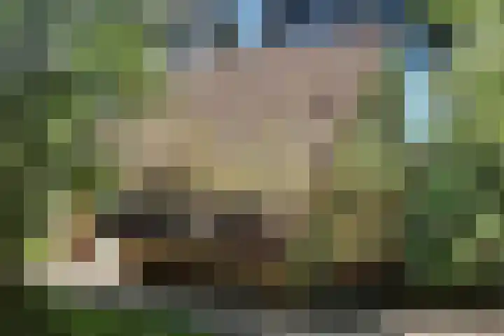 Valkenlaan 72 Sibculo foto 3
