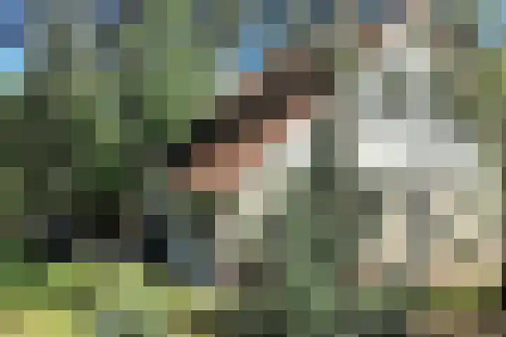 Valkenlaan 72 Sibculo thumbnail 4