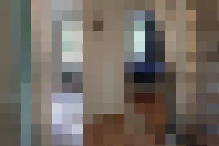 Valkenlaan 72 Sibculo thumbnail 6