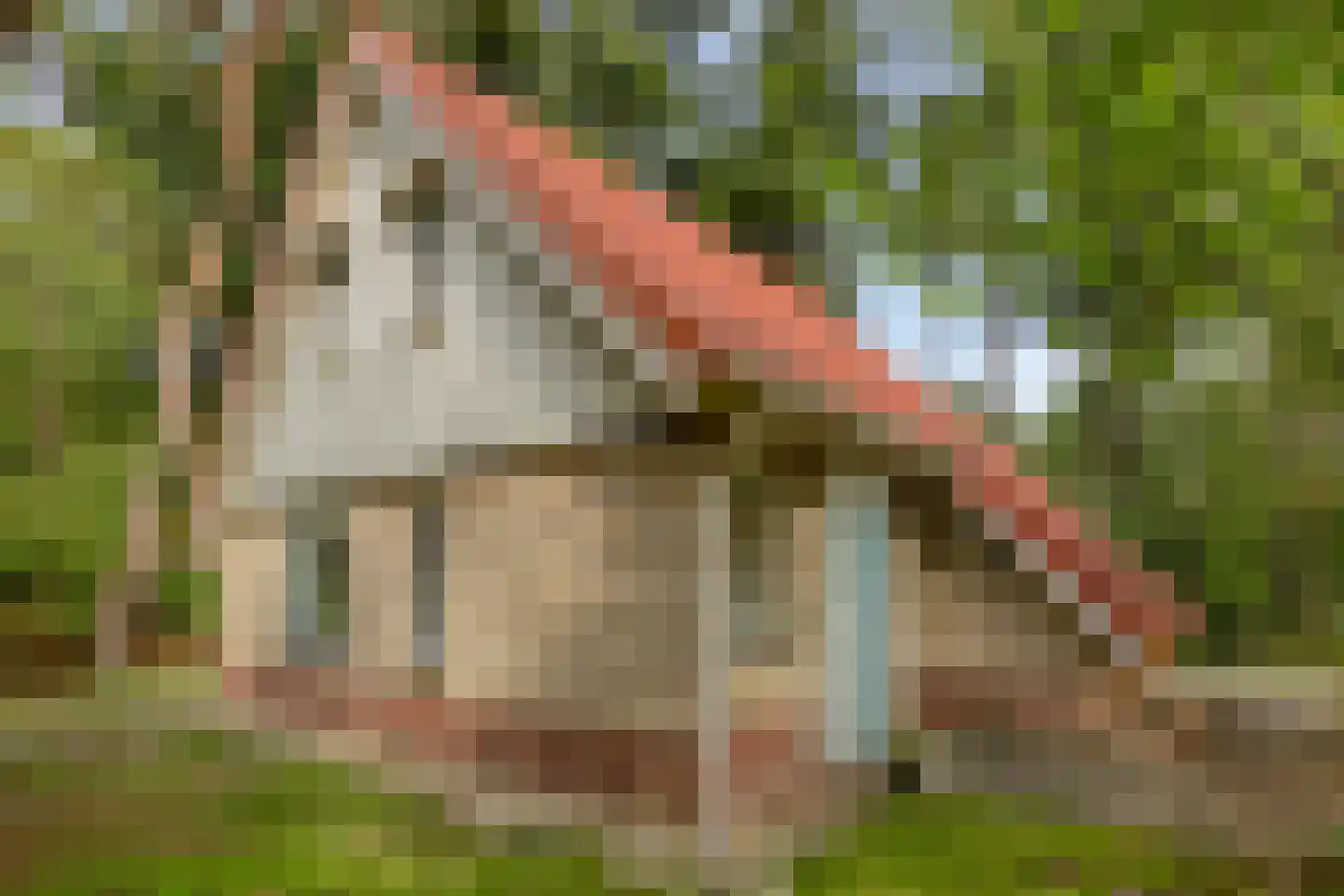 Valkenlaan 74 in Sibculo