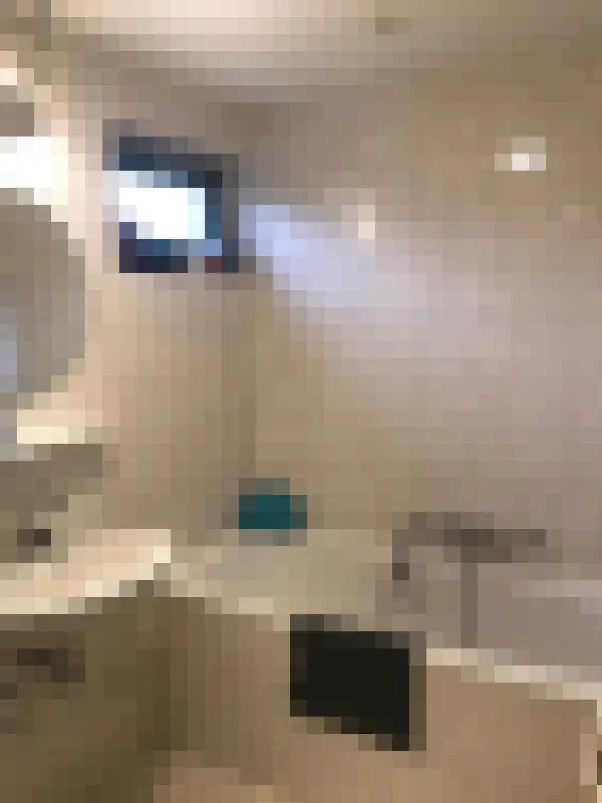 Valkenlaan 74 Sibculo thumbnail 15