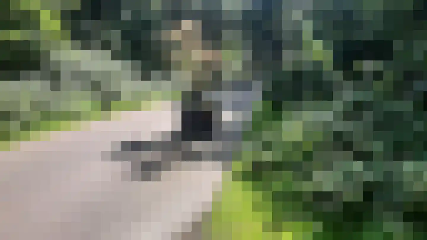 Valkenlaan 74 Sibculo thumbnail 39