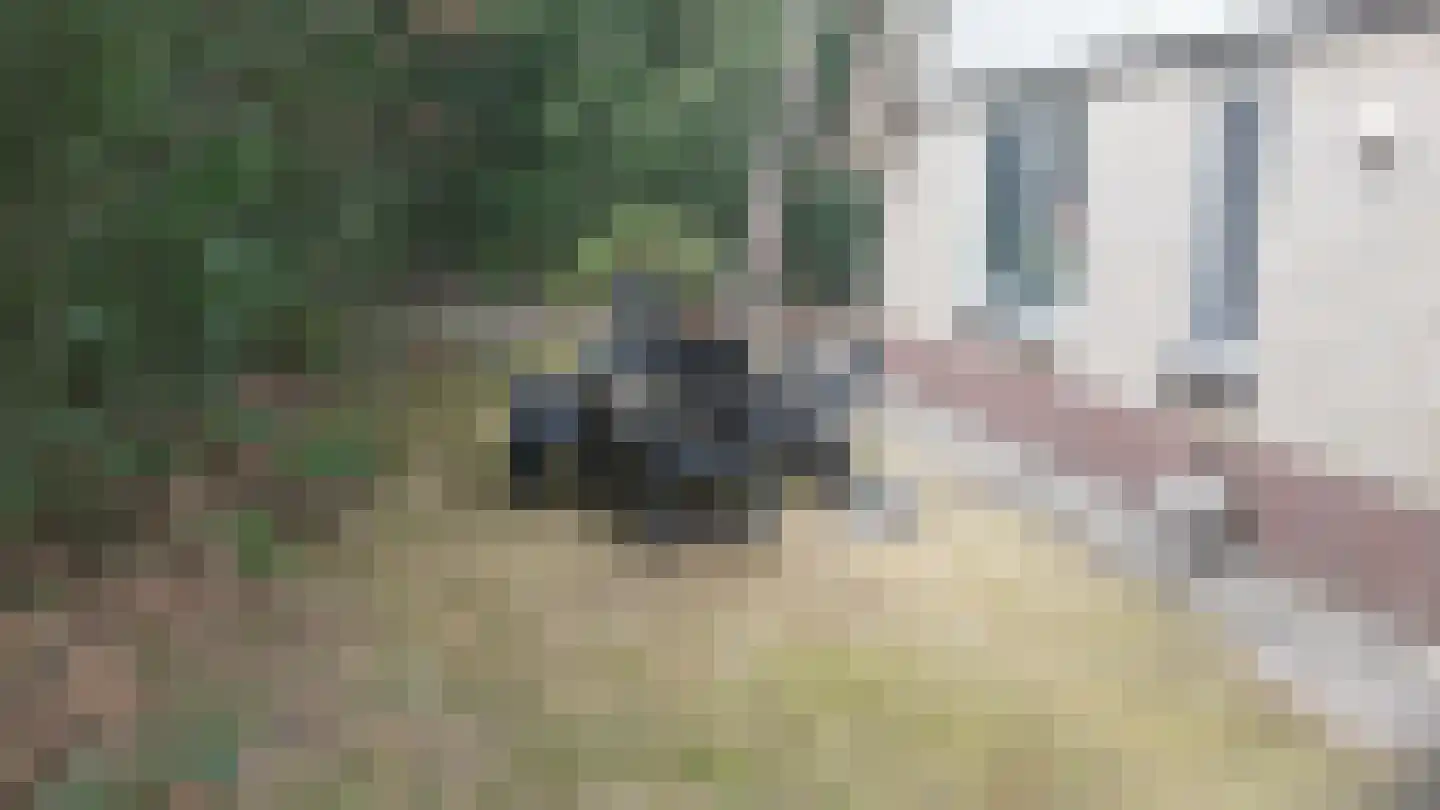Valkenlaan 74 Sibculo thumbnail 4