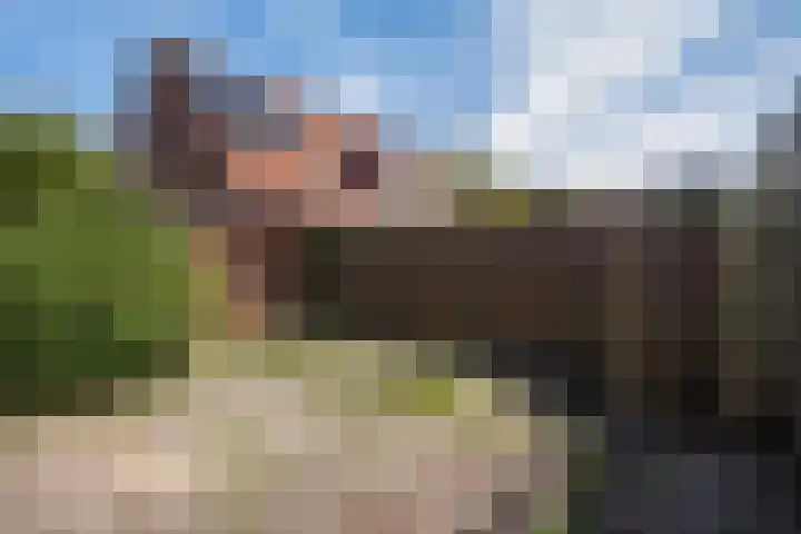 Valkenlaan 81 Delft thumbnail 15