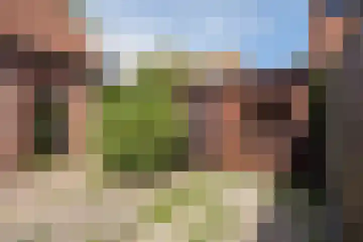 Valkenlaan 81 Delft thumbnail 17