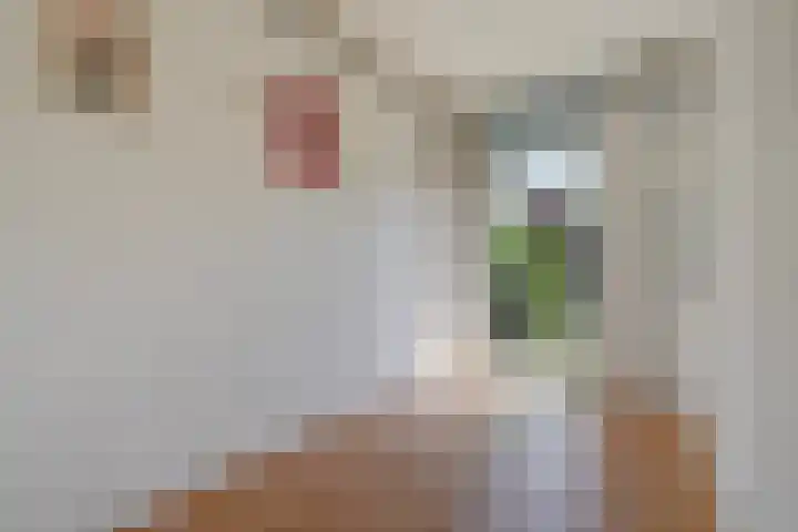 Valkenlaan 81 Delft thumbnail 20