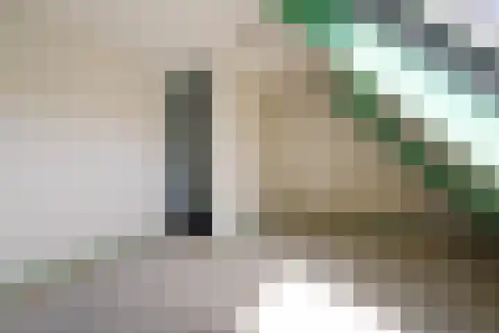 Valkenlaan 81 Delft thumbnail 33