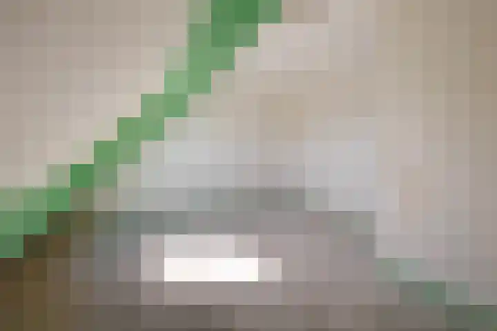 Valkenlaan 81 Delft thumbnail 34