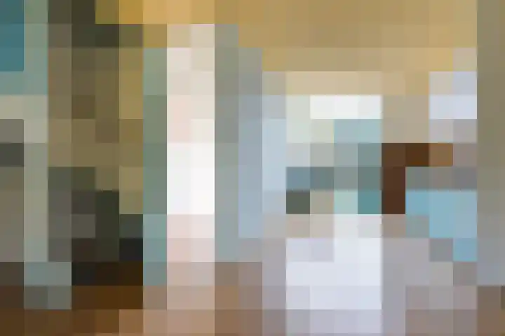 Valkenlaan 81 Delft thumbnail 9