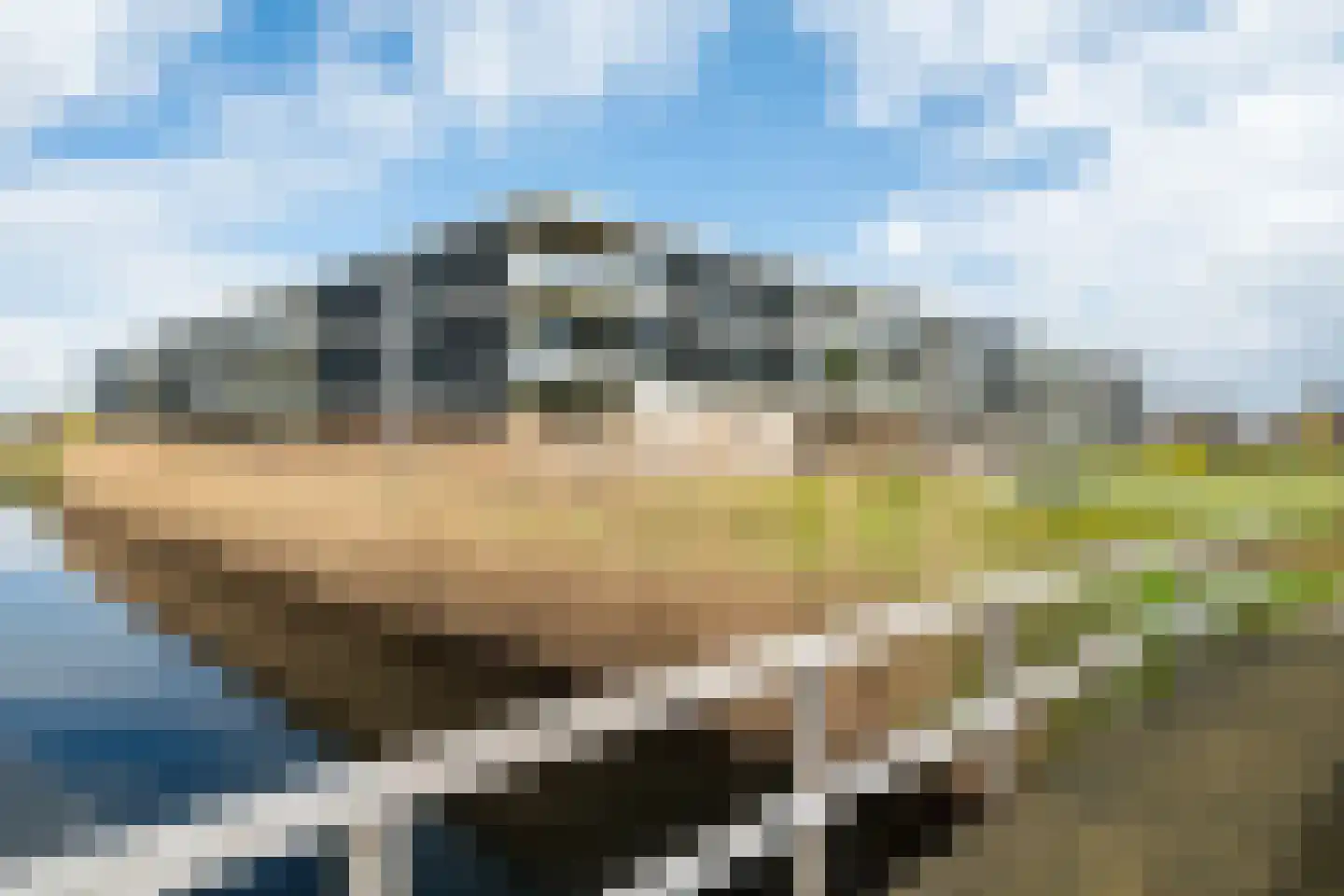 Valkenlaar 108 Bavel thumbnail 11