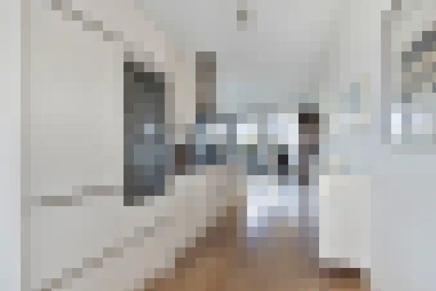 Valkenlaar 110 Bavel thumbnail 20