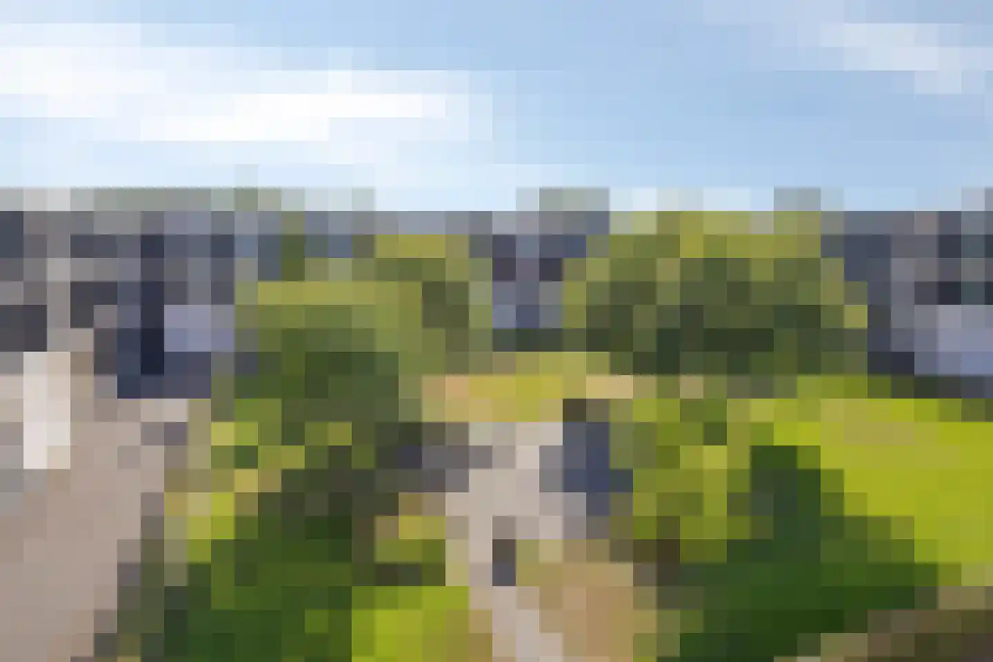 Valkenlaar 110 Bavel thumbnail 28