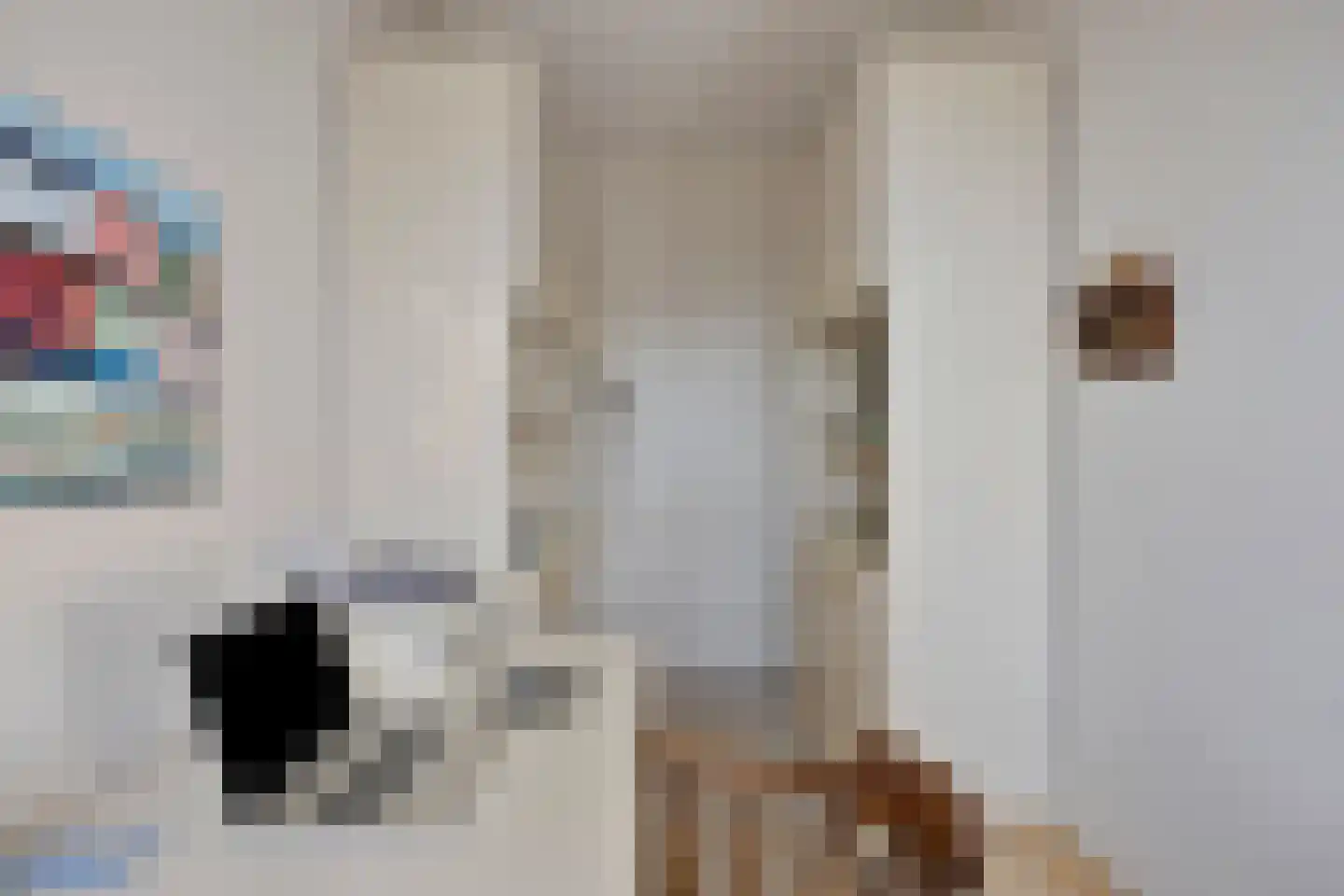 Valkenlaar 110 Bavel thumbnail 33