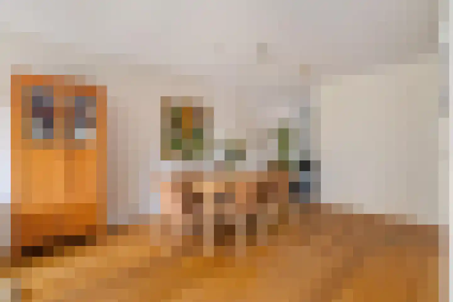 Valkenlaar 31 Bavel thumbnail 25