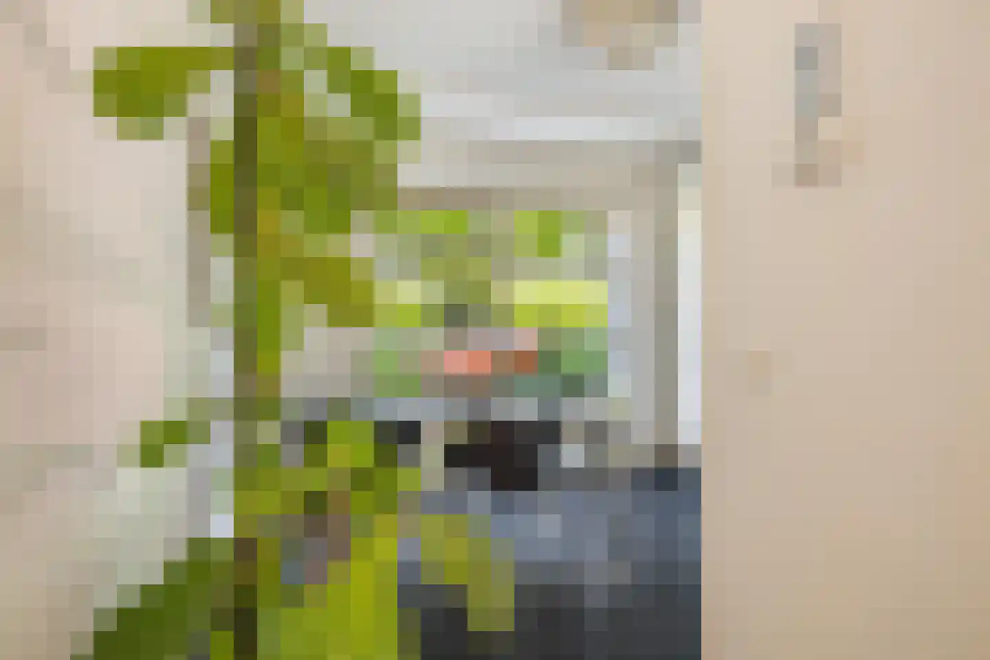Valkenlaar 31 Bavel thumbnail 27