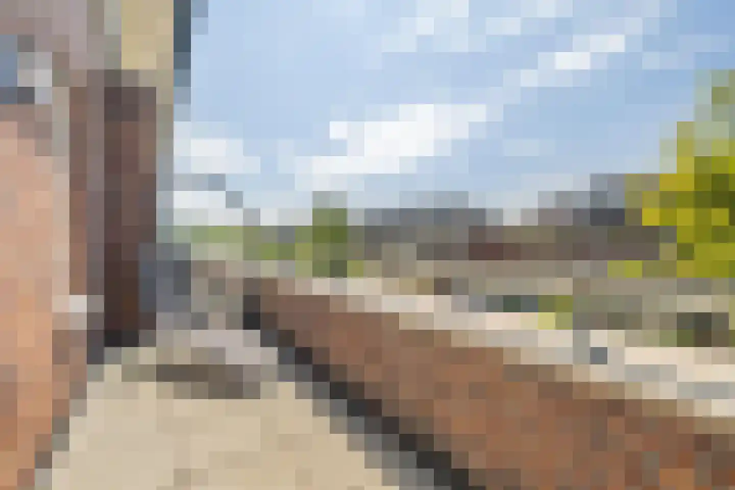 Valkenlaar 31 Bavel thumbnail 39