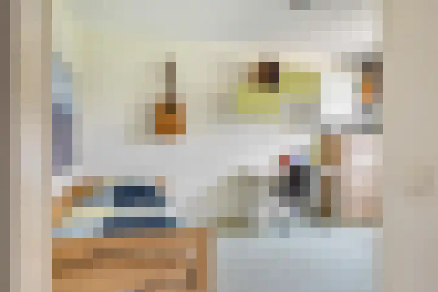 Valkenlaar 31 Bavel thumbnail 42