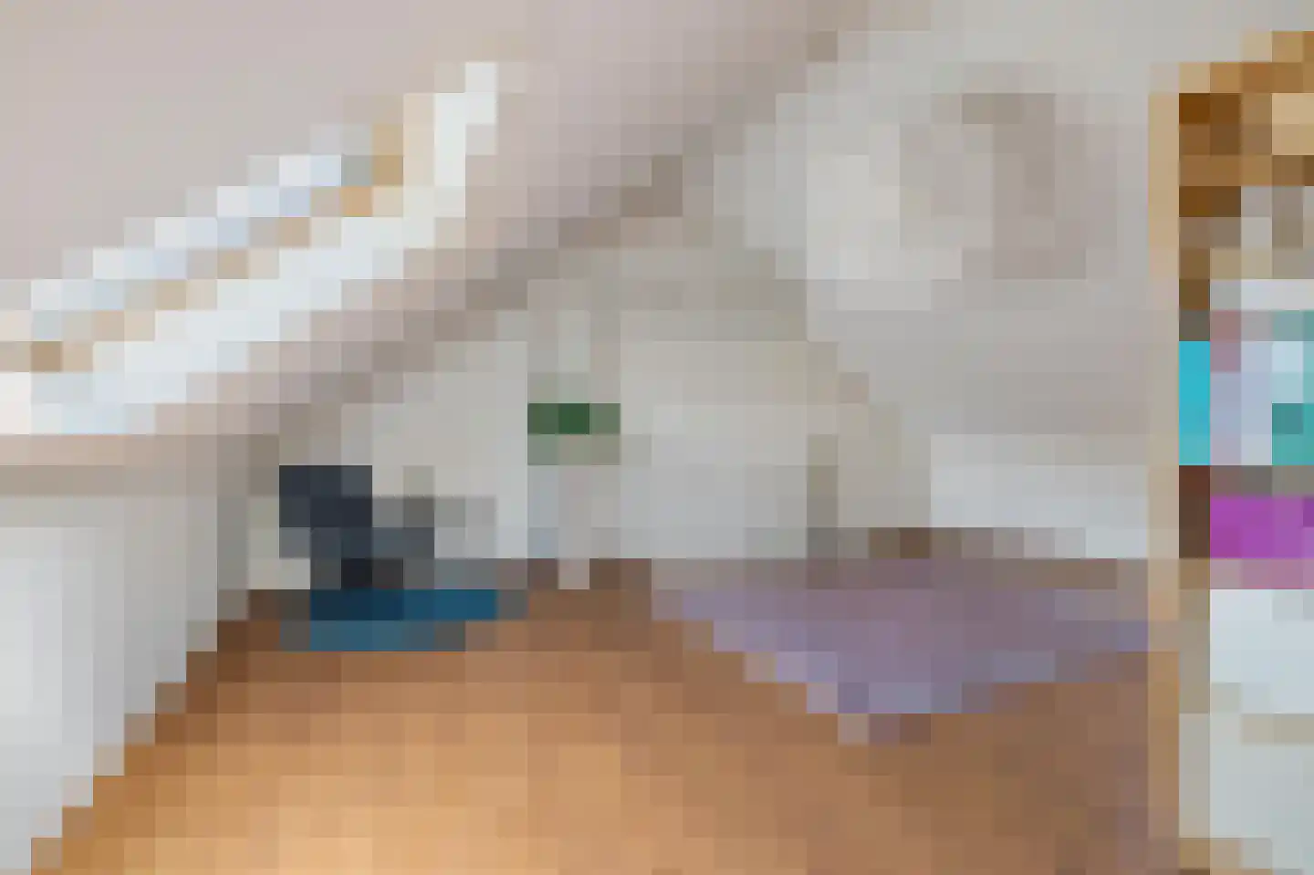 Valkenlaar 31 Bavel thumbnail 64