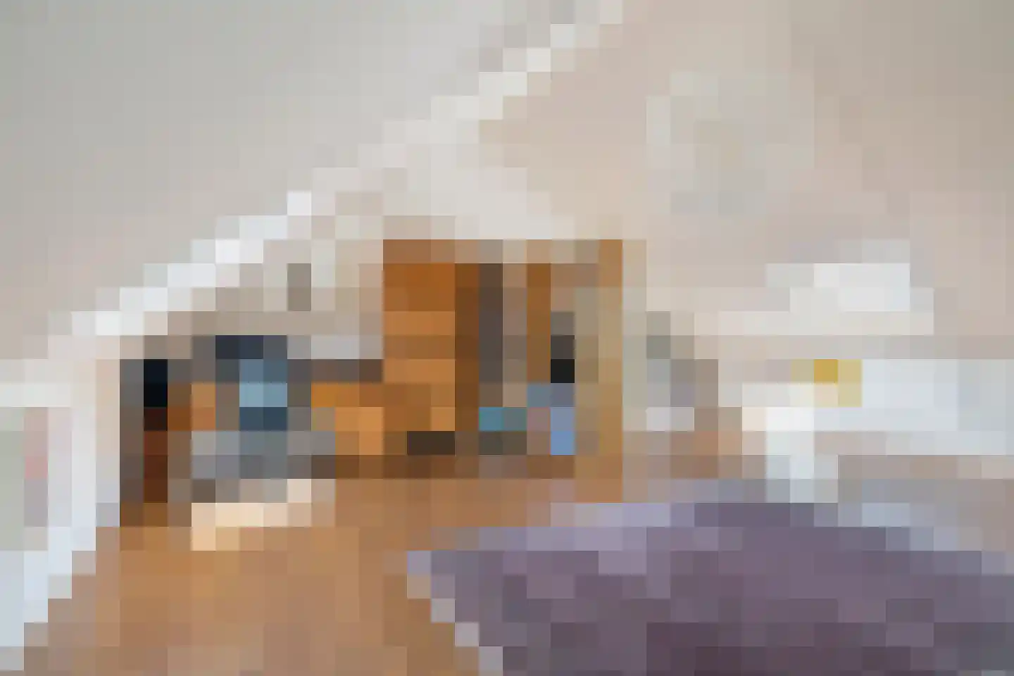 Valkenlaar 31 Bavel thumbnail 65
