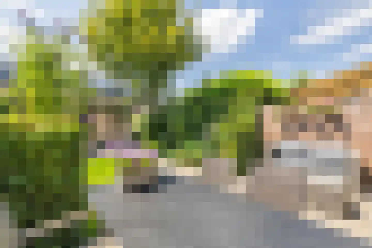 Valkenlaar 31 Bavel thumbnail 71
