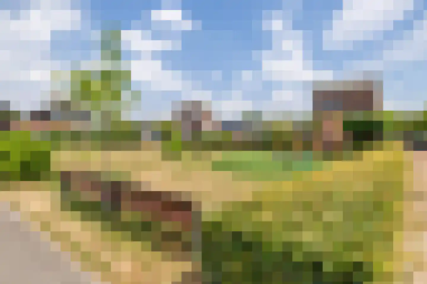 Valkenlaar 31 Bavel thumbnail 76
