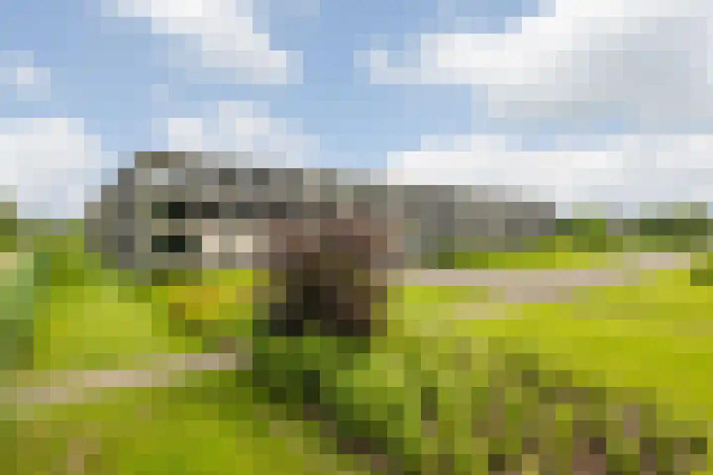 Valkenlaar 32 Bavel thumbnail 11