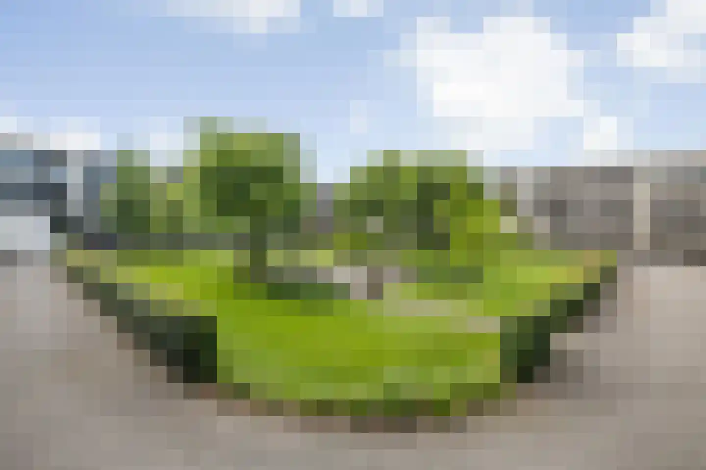 Valkenlaar 32 Bavel thumbnail 13
