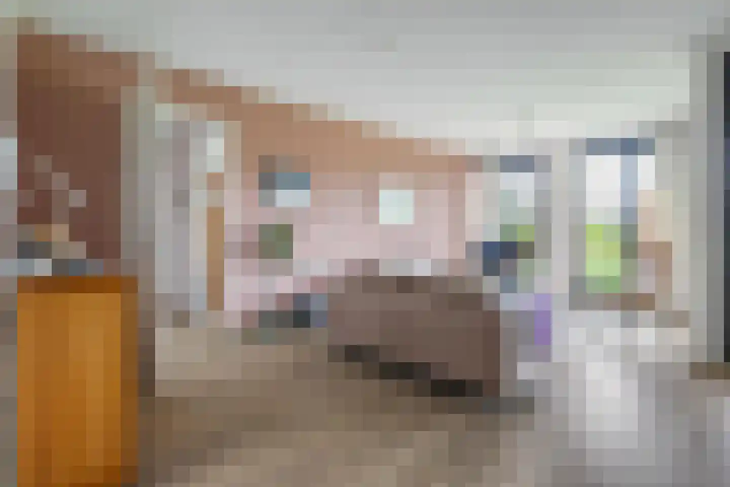 Valkenlaar 32 Bavel thumbnail 21