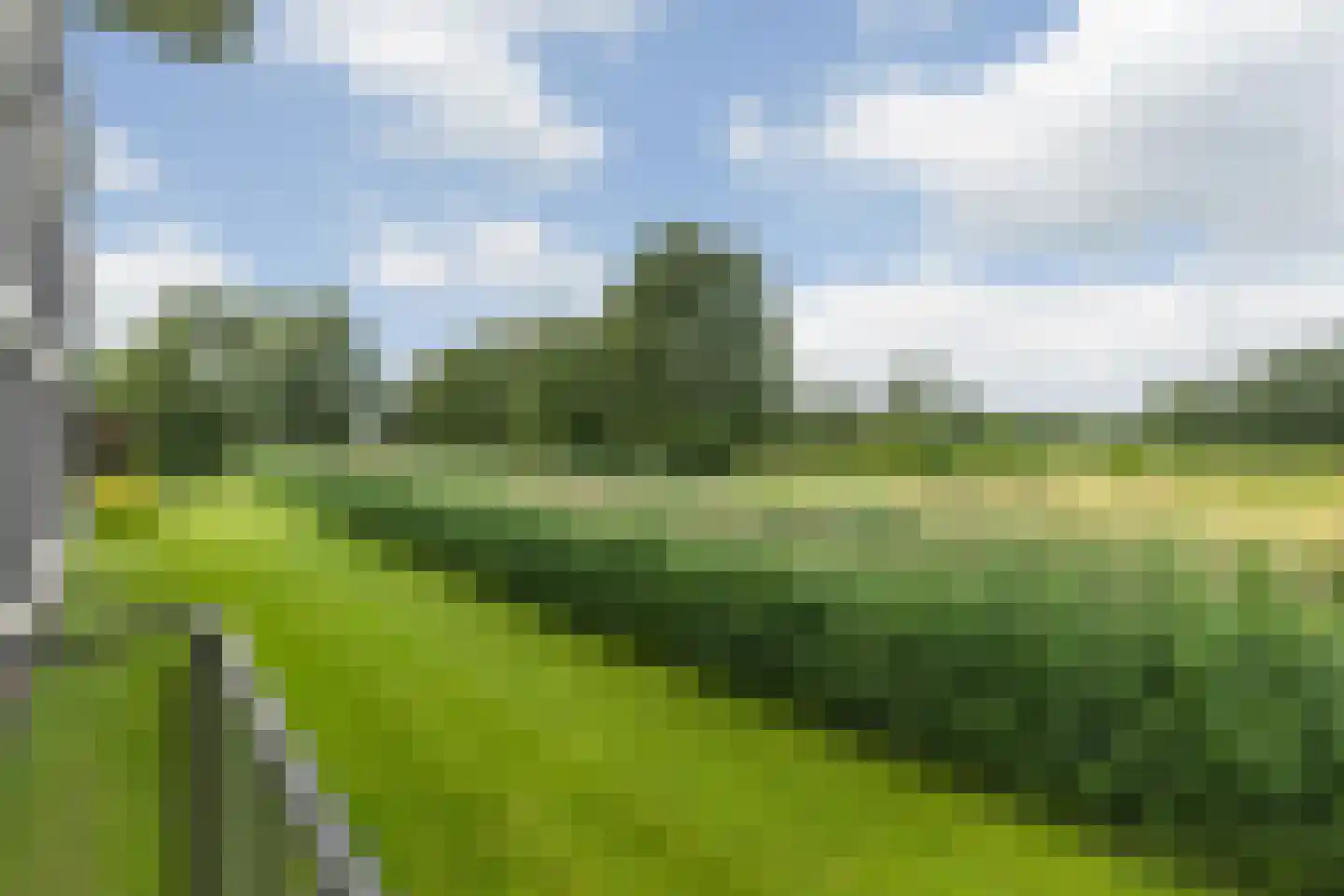 Valkenlaar 32 Bavel thumbnail 51