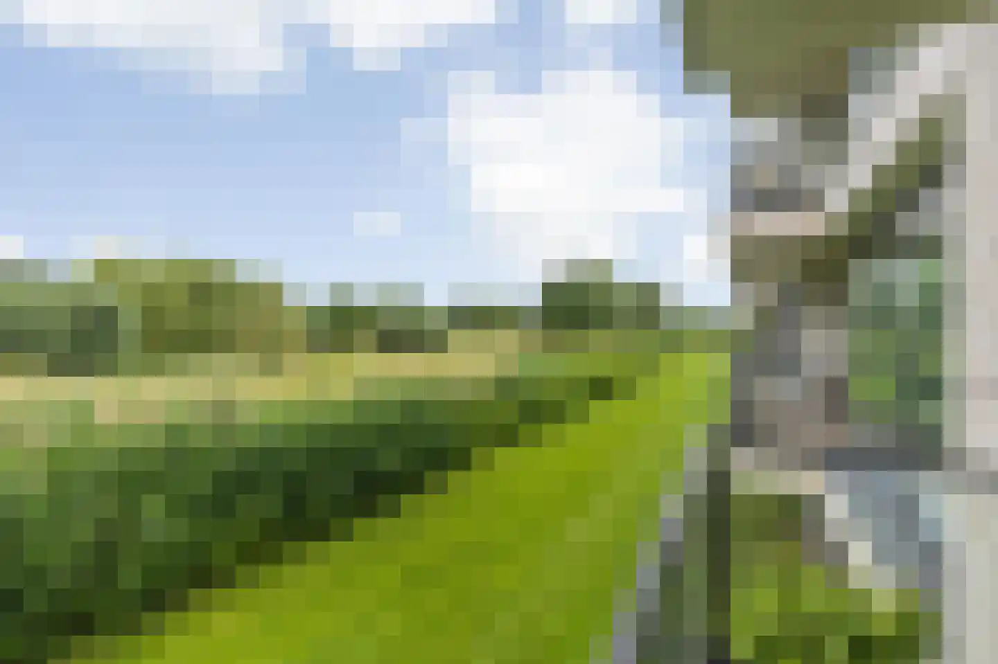 Valkenlaar 32 Bavel thumbnail 52