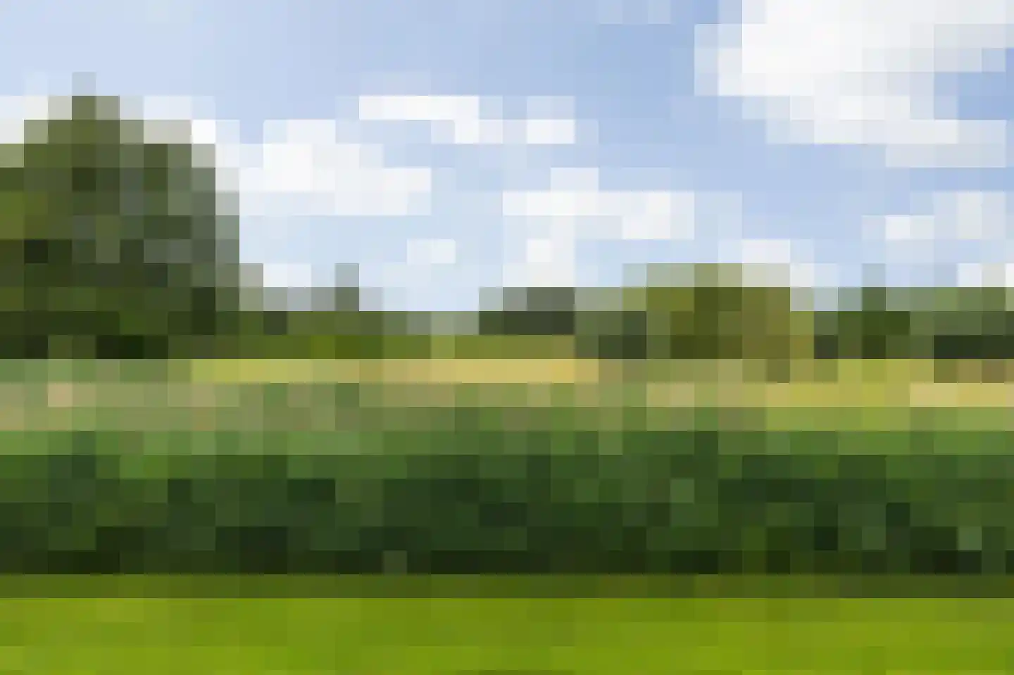 Valkenlaar 32 Bavel thumbnail 53