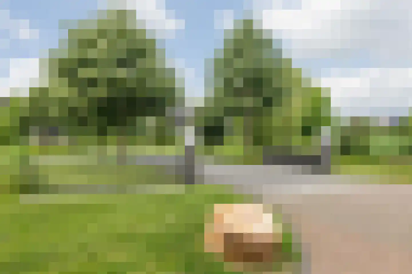 Valkenlaar 32 Bavel thumbnail 6