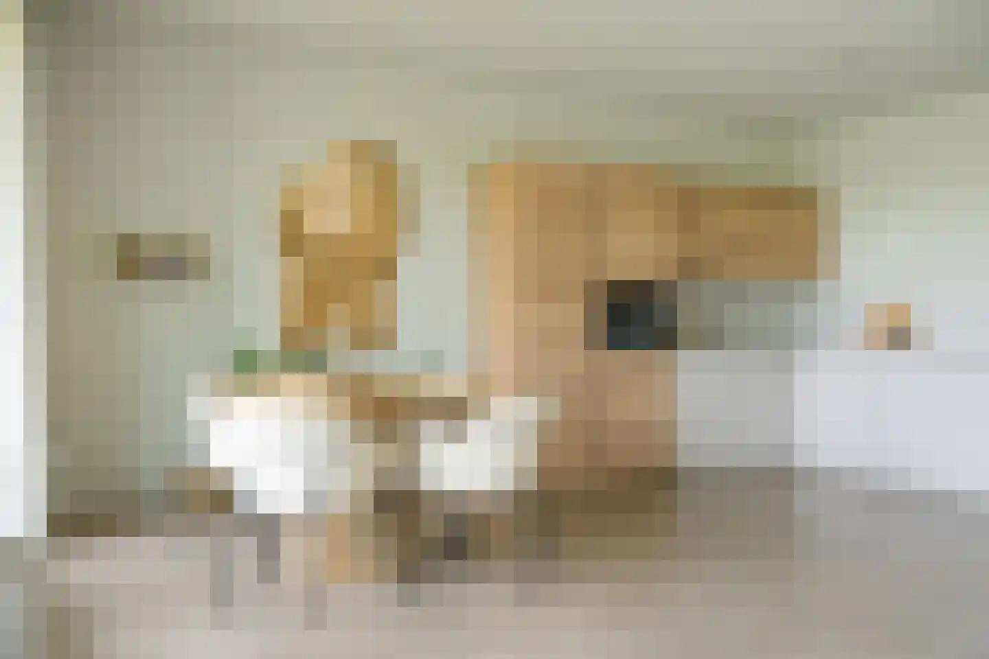 Valkenlaar 42 Bavel thumbnail 22