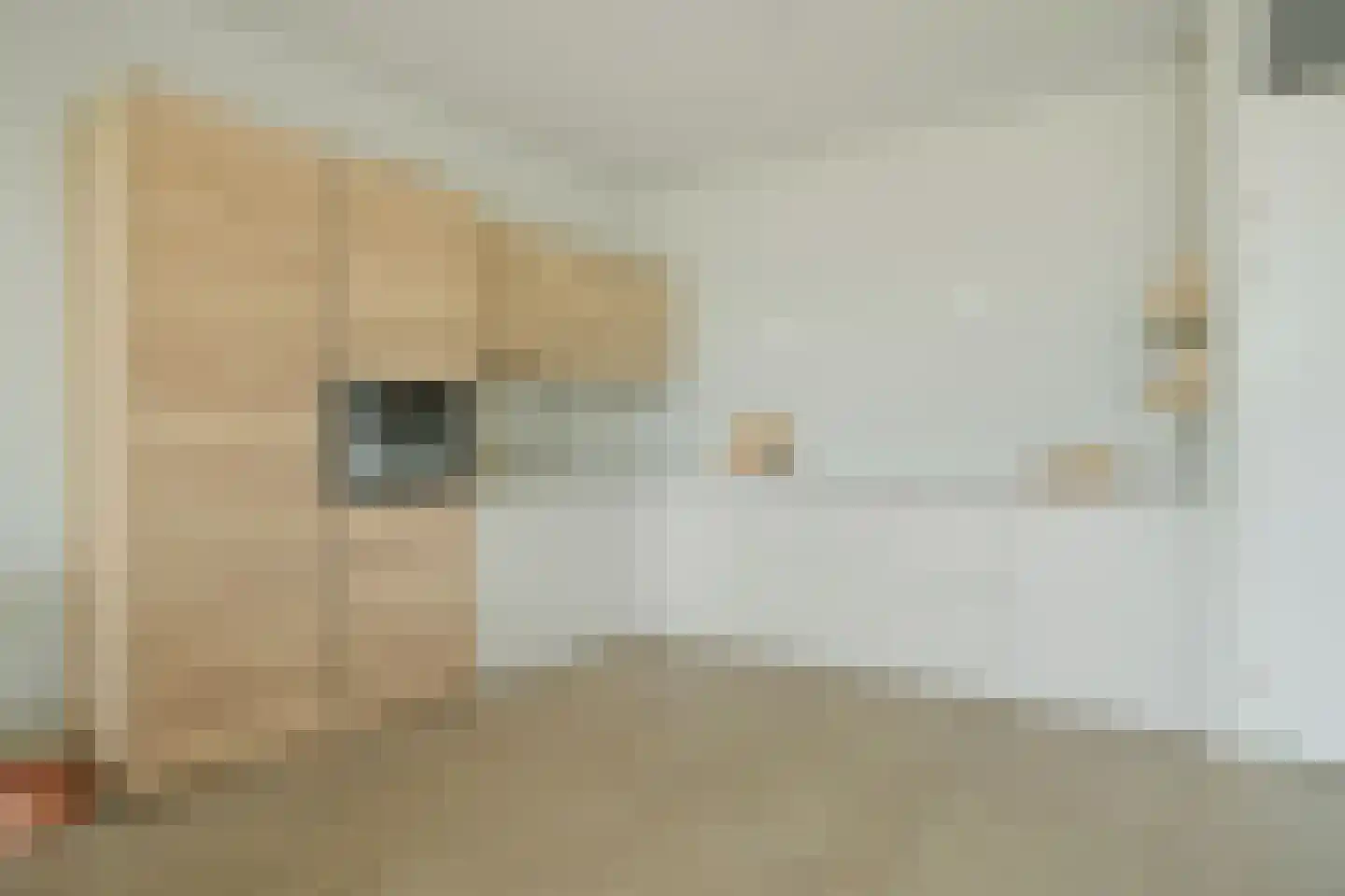 Valkenlaar 42 Bavel thumbnail 24