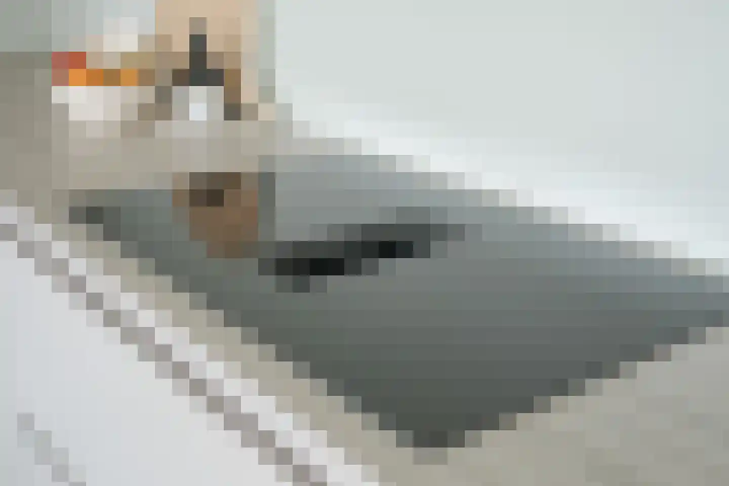 Valkenlaar 42 Bavel thumbnail 27
