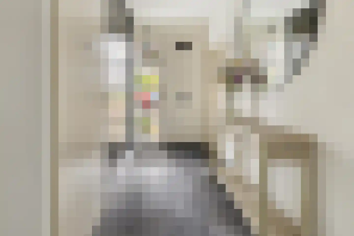 Valkenlaar 5 Bavel thumbnail 10