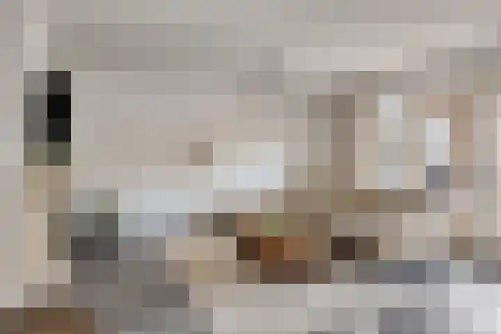Valkenlaar 5 Bavel thumbnail 11